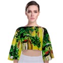 Old Tree And House With An Arch 2 Tie Back Butterfly Sleeve Chiffon Top View1