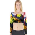 Global Warming 2 Long Sleeve Crop Top View1