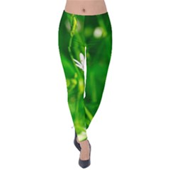 Inside The Grass Velvet Leggings by FunnyCow
