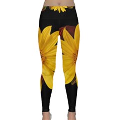 Sun Flower Blossom Bloom Particles Classic Yoga Leggings by Nexatart