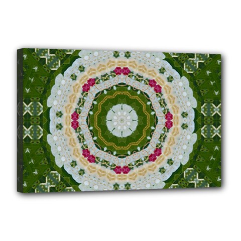 Fantasy Jasmine Paradise Love Mandala Canvas 18  X 12  by pepitasart