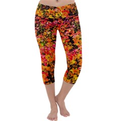 Orange, Yellow Cotoneaster Leaves In Autumn Capri Yoga Leggings by FunnyCow
