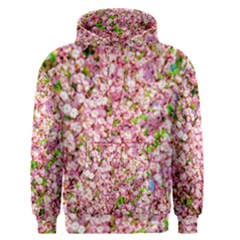 Almond Tree In Bloom Men s Pullover Hoodie by FunnyCow