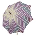 Ombre Zigzag 01 Hook Handle Umbrellas (Large) View2