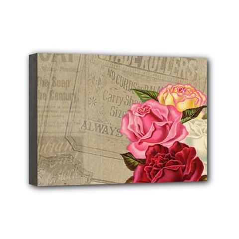 Flower 1646069 960 720 Mini Canvas 7  X 5  (stretched) by vintage2030