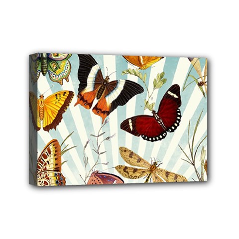 Butterfly 1064147 960 720 Mini Canvas 7  X 5  (stretched) by vintage2030