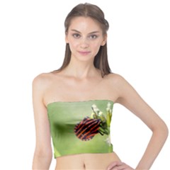 One More Bottle Does Not Hurt Tube Top by FunnyCow