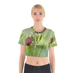 One More Bottle Does Not Hurt Cotton Crop Top by FunnyCow