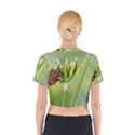 One More Bottle Does Not Hurt Cotton Crop Top View2