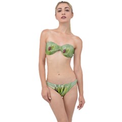 One More Bottle Does Not Hurt Classic Bandeau Bikini Set by FunnyCow
