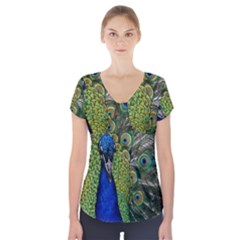Peacock Close Up Plumage Bird Head Short Sleeve Front Detail Top by Wegoenart