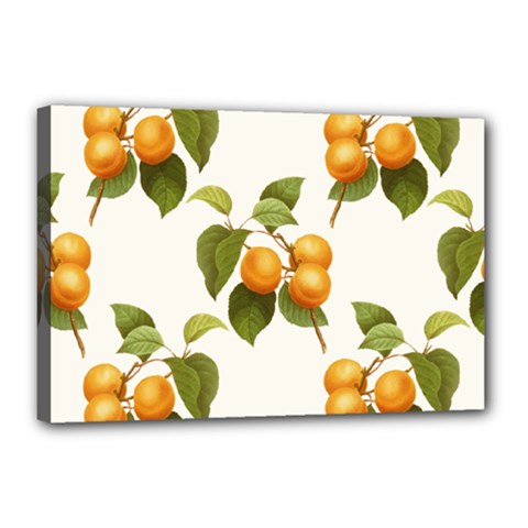 Apricot Fruit Vintage Art Canvas 18  X 12  (stretched) by Pakrebo
