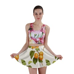 Apricot Fruit Vintage Art Mini Skirt by Pakrebo