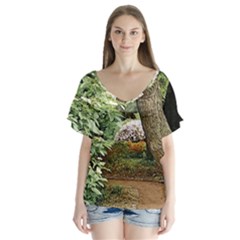 Garden Of The Phoenix V-neck Flutter Sleeve Top by Riverwoman