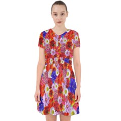 Multicolored Daisies Adorable In Chiffon Dress by retrotoomoderndesigns