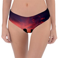 Skyline Panoramic City Architecture Reversible Classic Bikini Bottoms by Sudhe