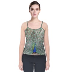 Peacock Bird Animal Feather Velvet Spaghetti Strap Top by Pakrebo