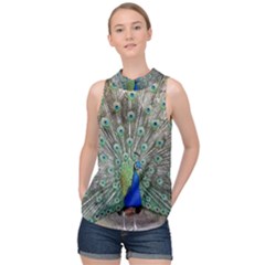 Peacock Bird Animal Feather High Neck Satin Top by Pakrebo