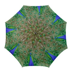 Peacock Color Bird Colorful Golf Umbrellas by Pakrebo