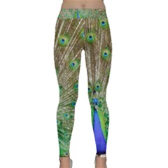 Peacock Color Bird Colorful Classic Yoga Leggings by Pakrebo
