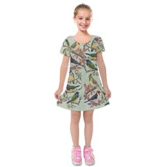 Vintage Birds Kids  Short Sleeve Velvet Dress by Valentinaart
