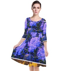 Primary Color Queen Anne s Lace Quarter Sleeve Waist Band Dress by okhismakingart