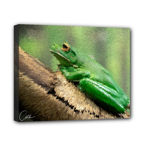 Frog Pixels Canvas 10  X 8  (stretched) by Cbth