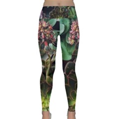 Succulents Lightweight Velour Classic Yoga Leggings by okhismakingart