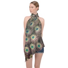 Bird Peacock Tail Feathers Halter Asymmetric Satin Top by Pakrebo
