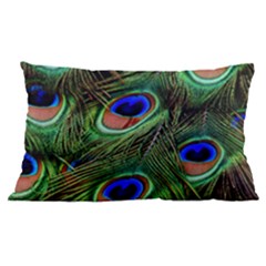 Peacock Feathers Plumage Iridescent Samsung Galaxy Note 4 Case (black) by HermanTelo