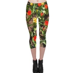Tulips In April Capri Leggings  by Riverwoman