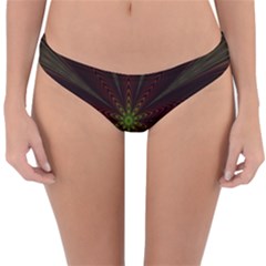 Fractal Artwork Idea Allegory Reversible Hipster Bikini Bottoms by Sudhe