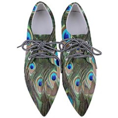 Peacock Feathers Peacock Bird Pointed Oxford Shoes by Wegoenart