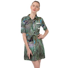 Peacock Feather Pattern Plumage Belted Shirt Dress by Pakrebo