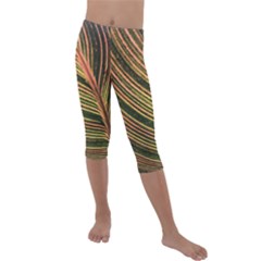 Leaf Patten Lines Colorful Plant Kids  Lightweight Velour Capri Leggings  by Simbadda