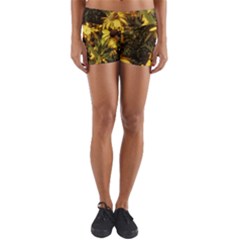 Echinacea Paradoxa Yoga Shorts by Riverwoman