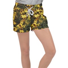 Echinacea Paradoxa Women s Velour Lounge Shorts by Riverwoman