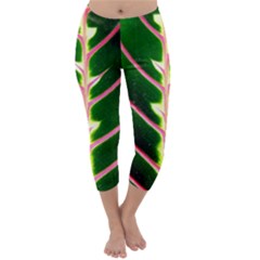 Exotic Green Leaf Capri Winter Leggings  by Vaneshart
