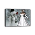 The Wonderful Winter Time Mini Canvas 6  x 4  (Stretched) View1