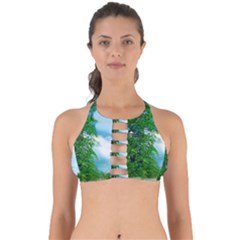 Airbrushed Sky Perfectly Cut Out Bikini Top by Fractalsandkaleidoscopes