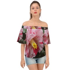 Striped Pink Camellia Ii Off Shoulder Short Sleeve Top by okhismakingart