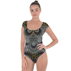 Rustic Silver And Gold Spirals Short Sleeve Leotard  by SpinnyChairDesigns