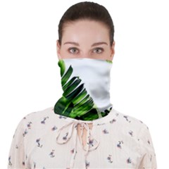 Green Banana Leaves Face Covering Bandana (adult) by goljakoff