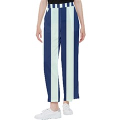 Navy In Vertical Stripes Women s Pants  by Janetaudreywilson