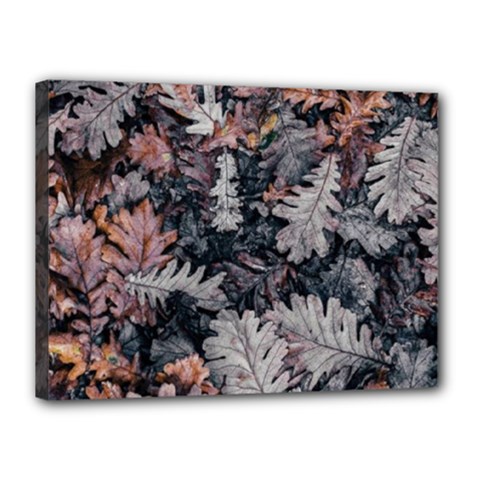 Autumn Leafs Canvas 16  X 12  (stretched) by Sparkle