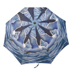 Seagull Flying Over Sea, Montevideo, Uruguay Folding Umbrellas by dflcprintsclothing