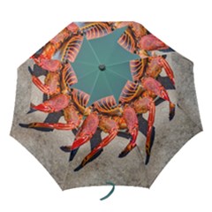 Colored Crab, Galapagos Island, Ecuador Folding Umbrellas by dflcprintsclothing
