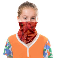 Colorful Strawberries At Market Display 1 Face Covering Bandana (kids) by dflcprintsclothing