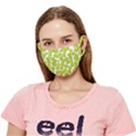 Fruit Life 4 Crease Cloth Face Mask (Adult) View1
