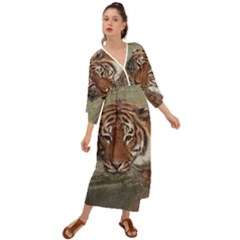 Swimming Tiger Grecian Style  Maxi Dress by ExtraAwesomeSauce